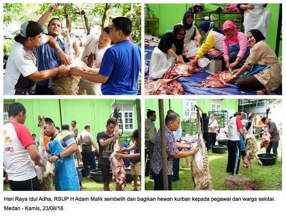 Hari Raya Idul Adha, RSUP H Adam Malik Sembelih dan Bagikan Hewan Kurban